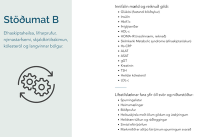 Stöðumat B