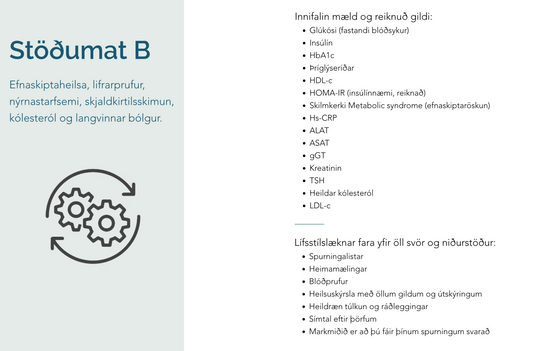 Stöðumat B